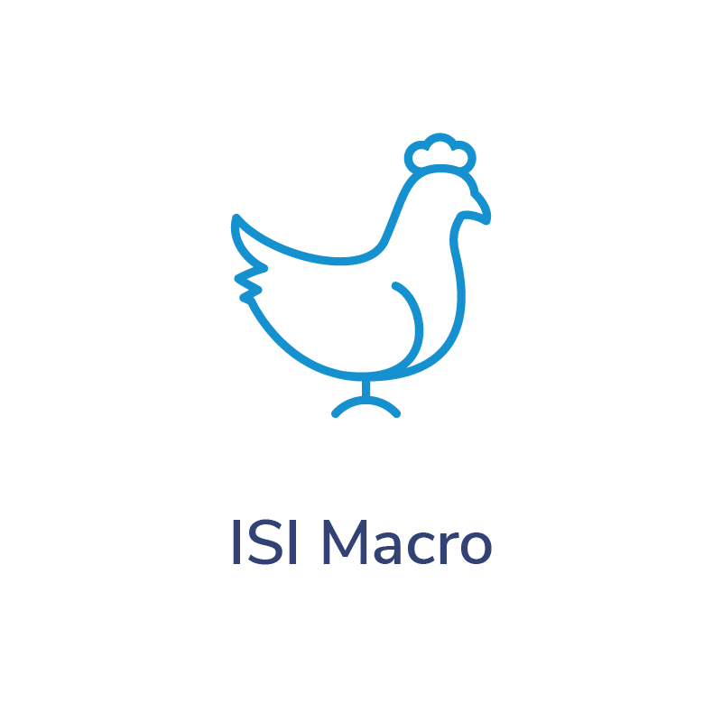 servico-isi-macro